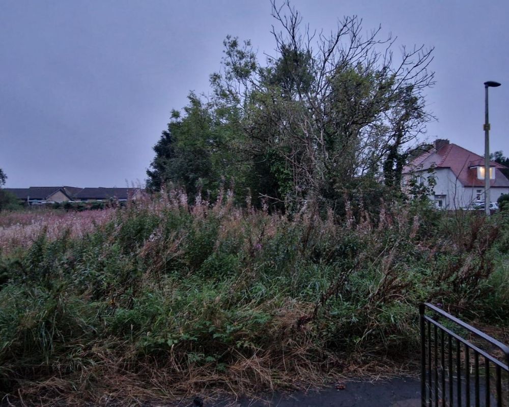 A proactive approach to bringing ownerless land back into use in Scotland