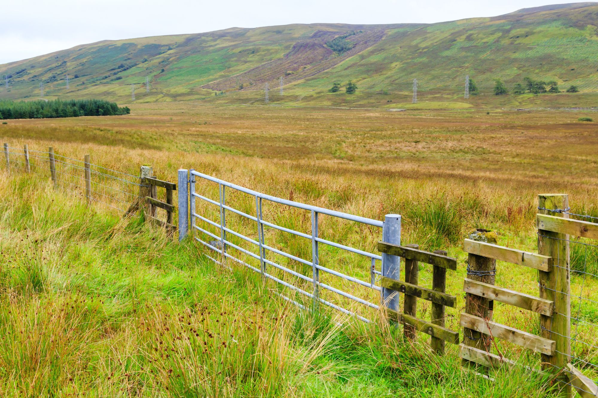 Tenant Farming Advisory Forum