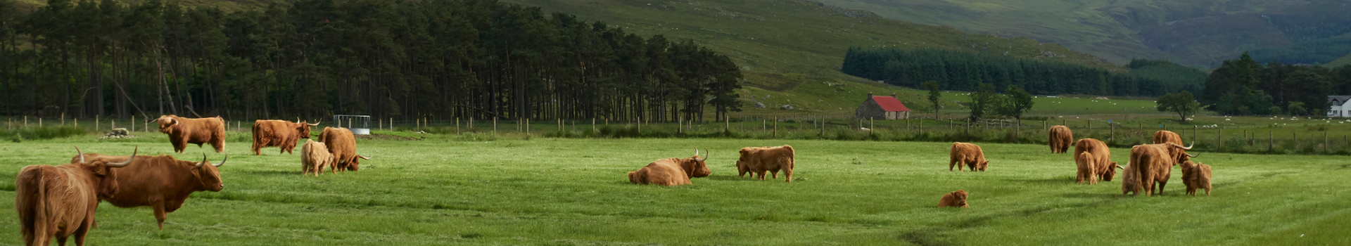 reviews-tenant-farming-our-work-scottish-land-commission