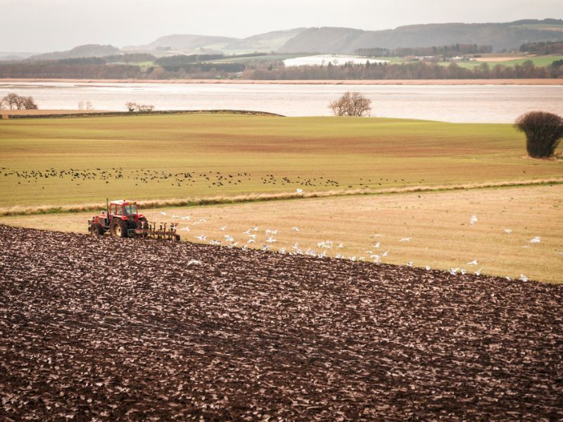 Tractor plowing a field in the North East of Scotland.